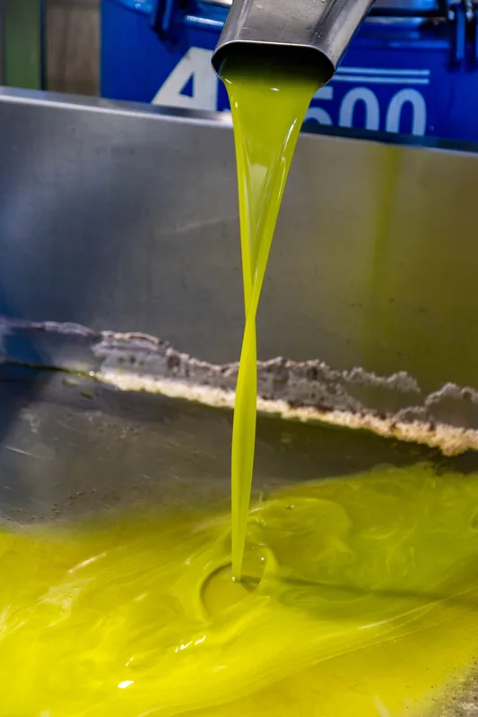 Fresh oil flowing from an oil press machine
